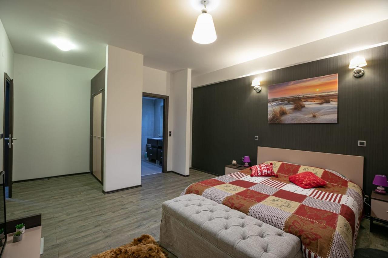 Anastasia Mountain Apartment - Poiana براشوف المظهر الخارجي الصورة