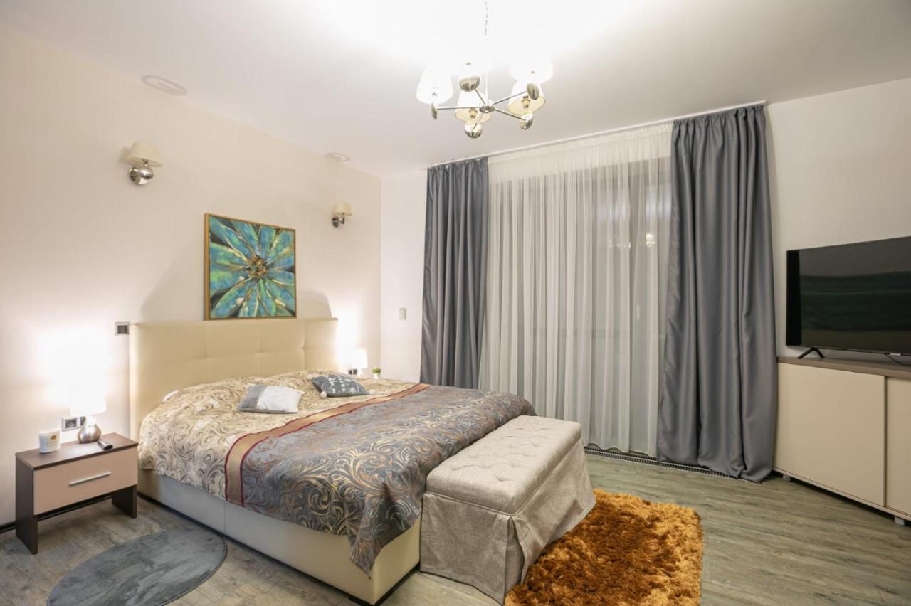 Anastasia Mountain Apartment - Poiana براشوف المظهر الخارجي الصورة