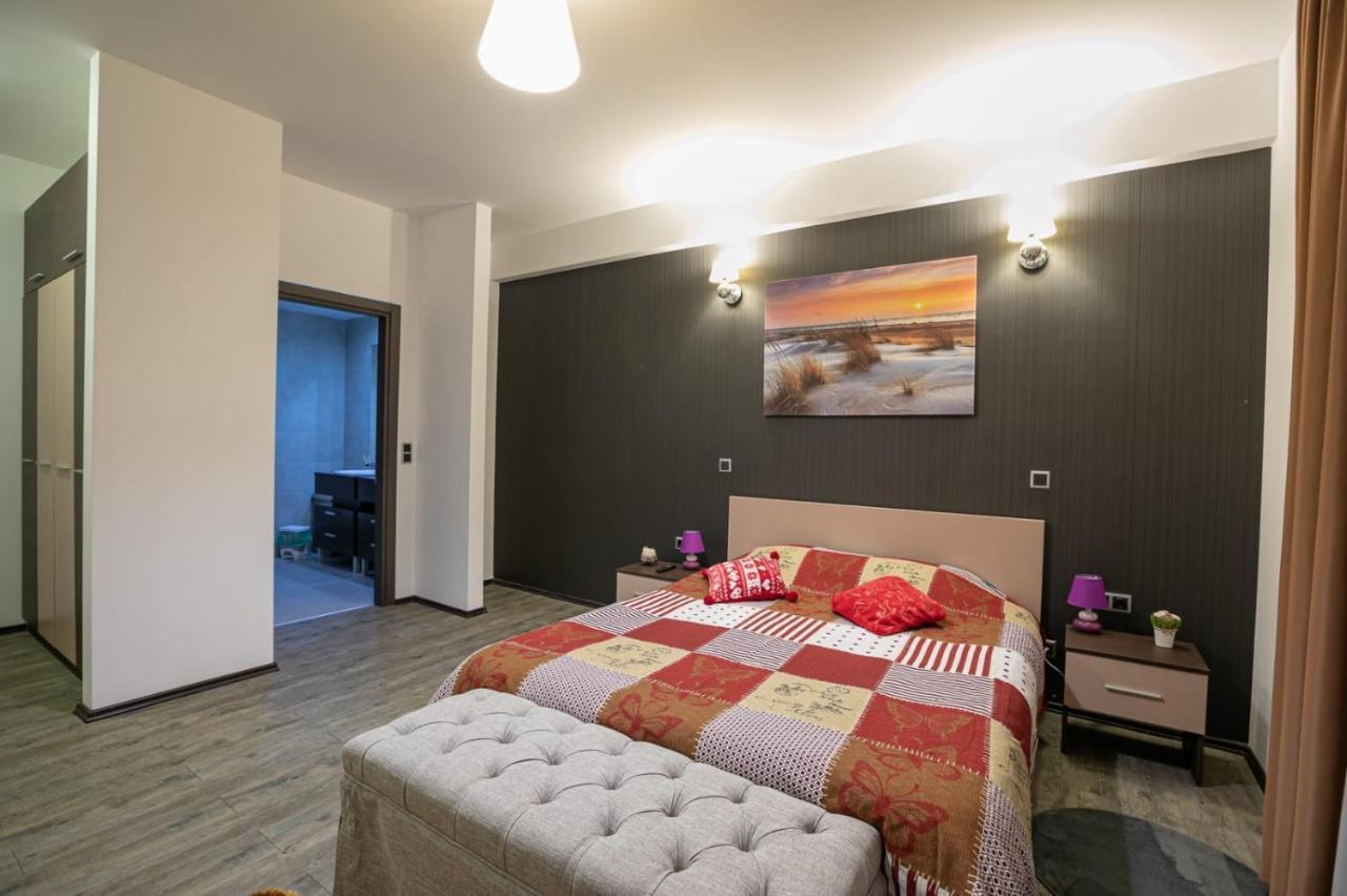 Anastasia Mountain Apartment - Poiana براشوف المظهر الخارجي الصورة