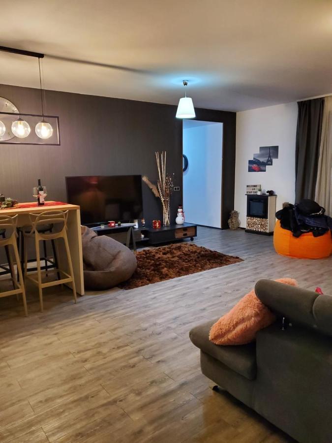 Anastasia Mountain Apartment - Poiana براشوف المظهر الخارجي الصورة